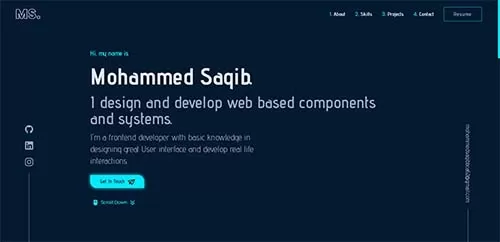 Saqib Portfolio
